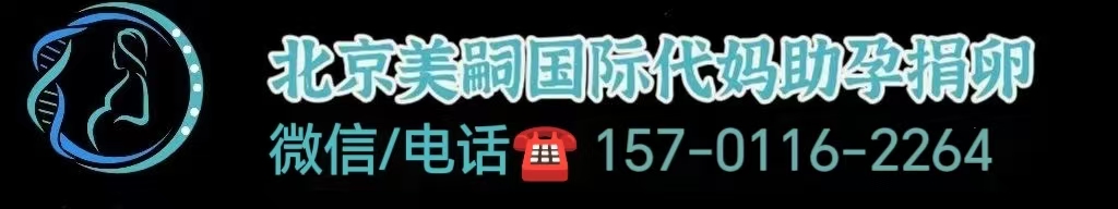 男性同性恋怎么做试管婴儿